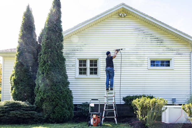 Local Pressure Washing Services in Nash, TX